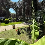 Zen Oasis Golem (Tirana)