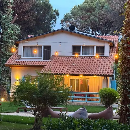 Zen Oasis * Golem (Tirana)