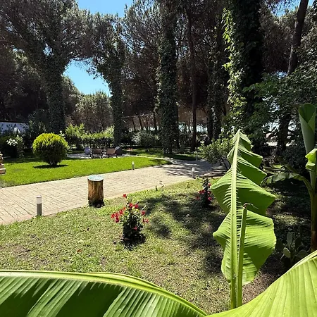 Zen Oasis Golem (Tirana)