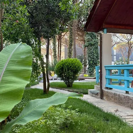 Zen Oasis Willa