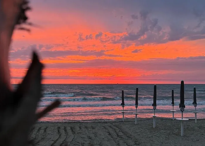 Villa Zen Oasis Golem (Tirana)