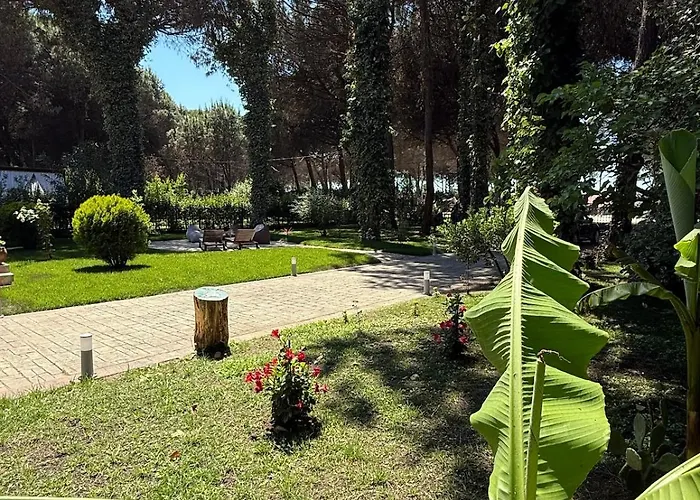 Zen Oasis Golem (Tirana)